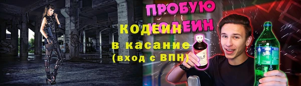 сатива Надым