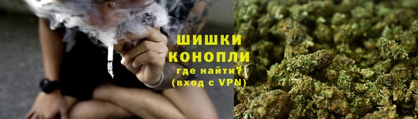 сатива Надым
