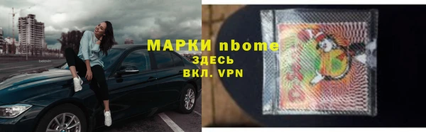 сатива Надым