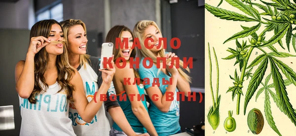 сатива Надым