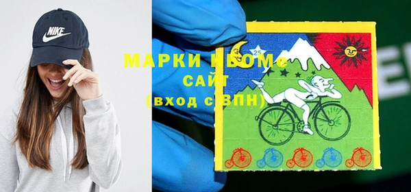 сатива Надым